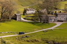 "All Creatures Great and Small" Tour from the Lake District