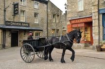 "All Creatures Great and Small" Private Tour from the Lake District