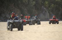 Cabo Migrino Beach and Desert ATV Tour plus Tequila Tasting