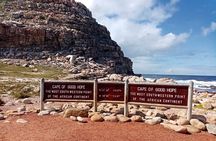 Cape Point, Penguins & Wine Tasting In Constantia Full Day Tour 