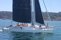 2.5-Hour Small-Group Catamaran Sail with Drinks
