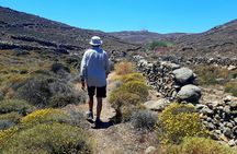 Mykonos Half-Day Hiking Adventure