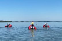 Hilton Head Guided Dolphin Watching & Sightseeing Tour via Mini Boat