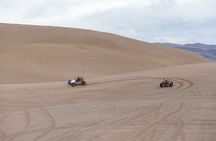 Las Vegas Big Dune Free Roam Adventure at Amargosa