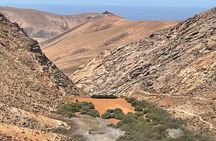 Fuerteventura: PANORAMA GRAND TOUR 2in1 Historic & photo tour.