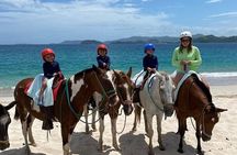 Horseback Riding tours in Brasilito