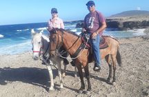 2-Hour Horseback Riding Tour to Little Natural Bridge in Aruba