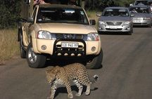 Kruger Park Safari Private Full-Day Tour from Marloth Park