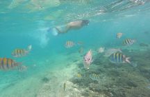 Private MUSA Snorkeling Experience at Isla Mujeres and Cancun