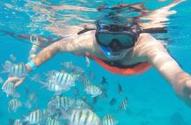 Private MUSA Snorkeling Experience at Isla Mujeres and Cancun