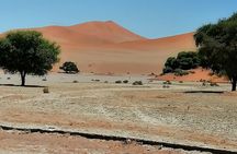 3-Day Scenic Sossusvlei Adventure in Namibia from Swakopmund