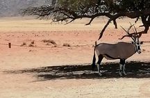 3-Day Scenic Sossusvlei Adventure in Namibia from Swakopmund