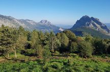 Private Tour Visiting Villages, Forests and Valleys in Biscay