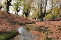 Private Tour Visiting Villages, Forests and Valleys in Biscay
