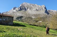 Private Tour Visiting Villages, Forests and Valleys in Biscay