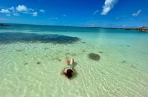 Excursion Isla Contoy & Isla Mujeres from Cancun 