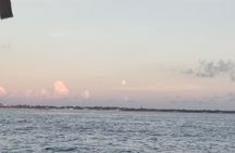 Sunset Sailing Adventure to Isla Mujeres Unlimited + Transfer from Cancún