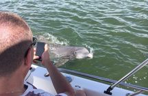 Private Hilton Head Dolphin Tour with Waterfront Dining Stop 