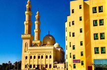 City Tour in Aswan City With Private Transfer and Live Guide - Aswan
