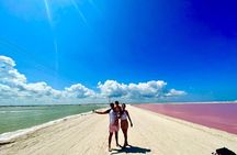 Las Coloradas Tour With Transportation from Playa del Carmen