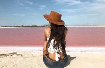Las Coloradas & Rio Lagartos Tour from Cancún