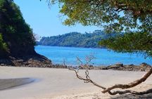 Guided Tour of the National Park Manuel Antonio 
