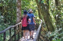 Guided Tour of the National Park Manuel Antonio 