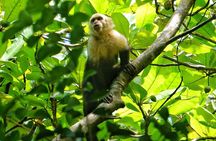 All Inclusive National Park Manuel Antonio with Binoculars