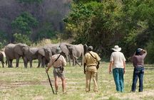 3-Days Private Nyerere NP Game Drive and Boat safari tour