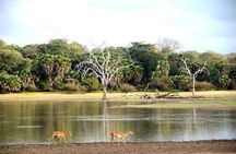 3-Days Private Nyerere NP Game Drive and Boat safari tour