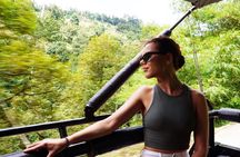 Koh Samui Jungle Safari By JEEP With MR.UNG (Including Lunch) 