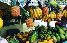 Ocho Rios Highlight Tour