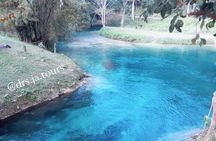 Ocho Rios Highlight Tour