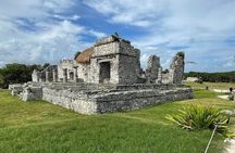  Excursion 4x1 Tulum, Coba, Cenote & 5th Avenue from Riviera Maya