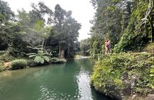 Half-Day Rainforest Tour with Transport from San Juan
