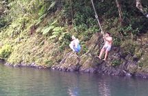 Half-Day Rainforest Tour with Transport from San Juan