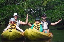 Half Day Kayak or SUP Rental (3hr) - Pelican Bay
