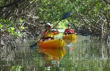 Full Day Kayak or SUP Rental (8hr) - Pelican Bay