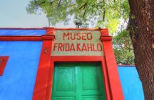 Guided Biking Tour in Coyoacán