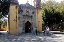 Frida's Heart Guided Biking Tour in Coyoacán