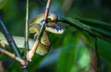 Enjoying Splendid Sri Lanka