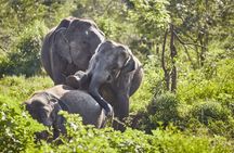 Enjoying Splendid Sri Lanka