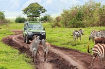 3 Day Classic, Guided Serengeti Safari