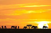3 Day Classic, Guided Serengeti Safari