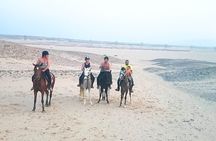 Makadi Bay Horse Ride Tour