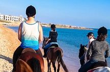 Makadi Bay Horse Ride Tour