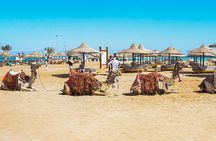 Makadi Bay Camel Ride Experience