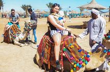 Makadi Bay Camel Ride Experience