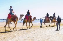Makadi Bay Camel Ride Experience