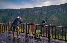 Chakana Reserve: Unique Andean Wildlife, Condors, Ecuadorian Hillstar & Bears